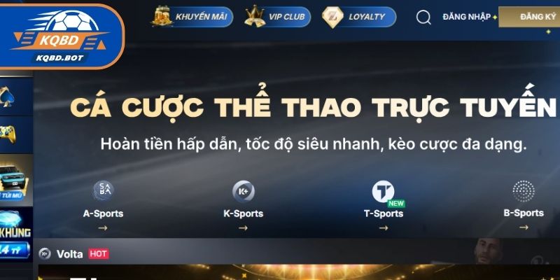 Giới thiệu về thương hiệu ZO88